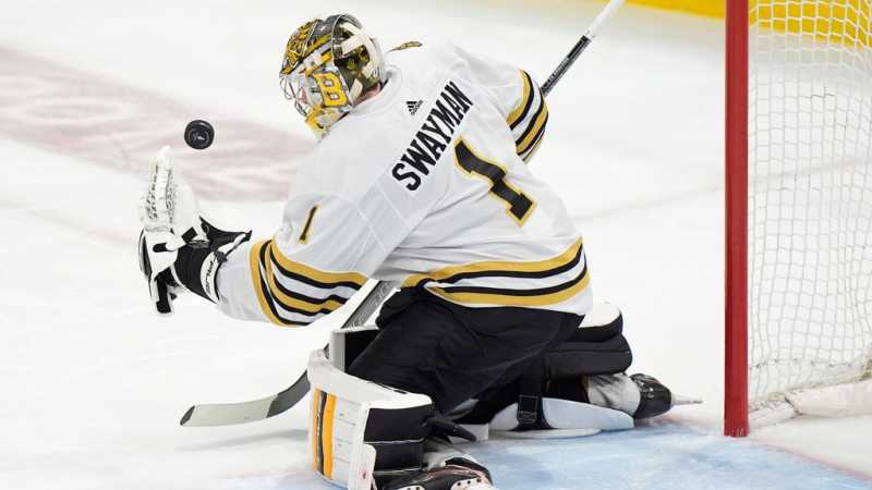 bruins_AP_24136031768698_me_0515.jpg